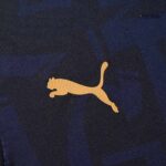 Chivas de Guadalajara Third Fan Jersey 2024/25 - Imagem 18