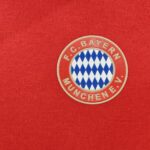Bayern Munich 24/25 Hoodie - Imagem 9