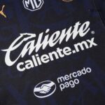 Chivas de Guadalajara Third Fan Jersey 2024/25 - Imagem 19
