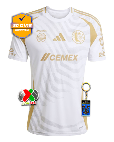 6_3379ca18-3d30-4bfd-8a66-3fd995bb34c6